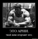 Дмитрий Савин фотография #48 (источник - https://vk.com/id1398356)