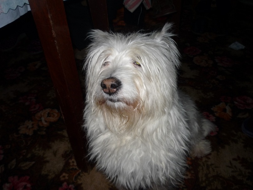 Дмитрий Малов фотография #4