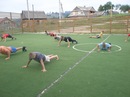 Артік Артік фотография #40 (источник - https://vk.com/id157706471)