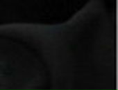 Олександр Андрієнко фотография #35 (источник - https://vk.com/id23256022)