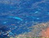 Олександр Андрієнко фотография #50 (источник - https://vk.com/id23256022)