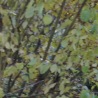 Василь Матвіїшин фотография #42 (источник - https://vk.com/id20800874)