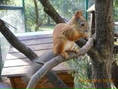 Фотография Matveev Andrei