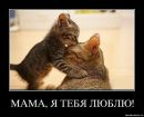 Артур Ільїн фотография #42 (источник - https://vk.com/id142326229)