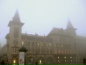 Фотография Виноградовой Анастасии