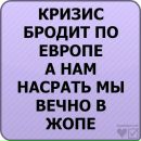 Віка Ковалик фотография #35 (источник - https://vk.com/id101366661)