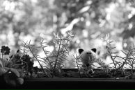 Антон Шумаков фотография #28 (источник - https://vk.com/id2967216)