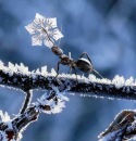 Фотография Ярновой Александры