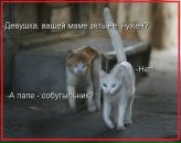 Дмитрий Недбайло фотография #16 (источник - https://vk.com/id1300758)