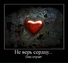 Фотография Линника Андрея