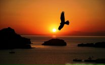 Віталік Новак фотография #11 (источник - https://vk.com/id14774341)