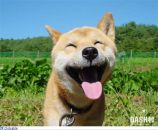 Фотография Кругловой Танюхи