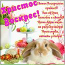 Валерія Стручок фотография #9 (источник - https://vk.com/id142696483)
