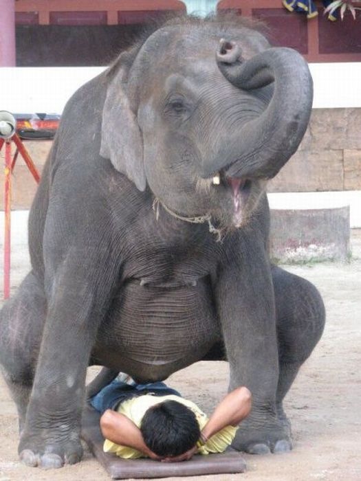 Настя Космос фотография #5