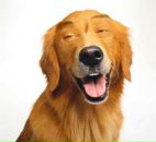 Фотография Белозерцева Ирина