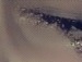 Катя Хомучеєва фотография #7 (источник - https://vk.com/id119736458)