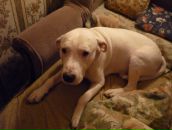 Фотография Горячева Геннадия