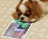 Надія Івать фотография #1