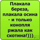 Ілля Шкорубський фотография #43 (источник - https://vk.com/id133220243)