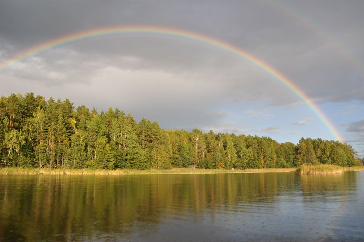 Андрей Беляков фотография #23