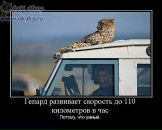 Сергій Притула фотография #20 (источник - https://vk.com/id105081679)