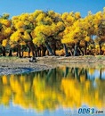 茹 贾 фотография #31 (источник - https://vk.com/id148943471)