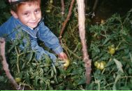 Фотография Насырова Ильфата