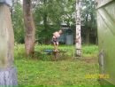 Фотография Константин Исмайлов