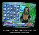 Игорь Темник фотография #31 (источник - https://vk.com/id96615668)