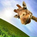 Фотография Лексиковой Анастасии