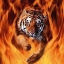 Іван Чайка фотография #50 (источник - https://vk.com/id133392130)