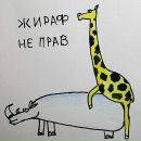 Marina Gara фотография #1