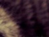 Яна Excale фотография #11 (источник - https://vk.com/id727315)