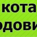 Андрій Чепурний фотография #2 (источник - https://vk.com/id145004837)