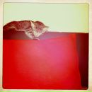 Фотография О Данила