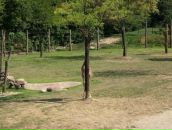 Фотография Мехтиевой Елены