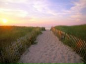 Фотография Семеновой Катерины