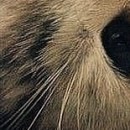 Ірина Пасічник фотография #42 (источник - https://vk.com/id89136098)