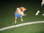 Ольга Юріївна фотография #18 (источник - https://vk.com/id8028819)