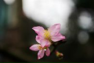 Jon Olson фотография #27 (источник - https://vk.com/id8998197)