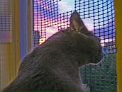 Фотография Смольников Иван