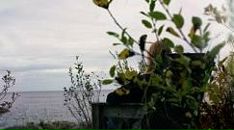 Фотография Худякова Евгения