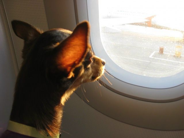 №12, Мария Сычёва №12, Мария Сычёва