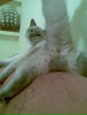 Фотография Максимовой Оксаны