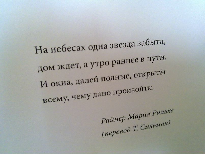 Дима Степанов фотография #33