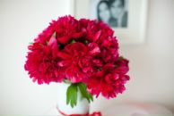 Інна Пазюк фотография #40 (источник - https://vk.com/id16652032)