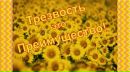 Фотография Цветкова Сергея