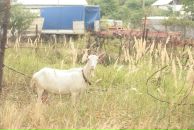 Slash Dot фотография #41 (источник - https://vk.com/id614985)