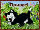 Пуфыфстая_ Киса фотография #4 (источник - https://vk.com/id144235558)