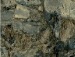 Ігор Шанта фотография #49 (источник - https://vk.com/id132528886)